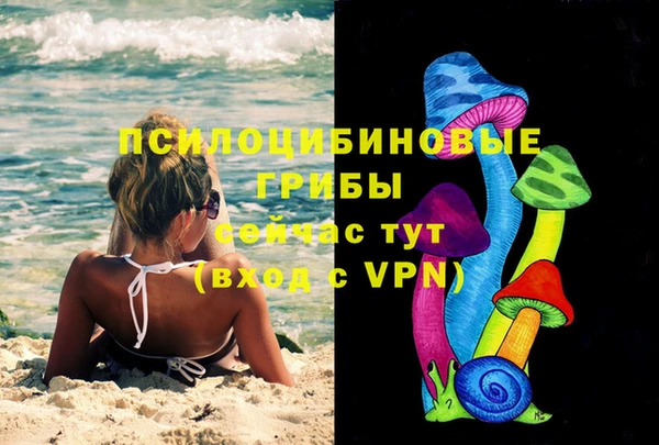 меф Няндома