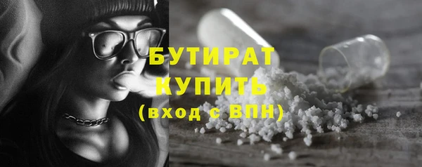 шишки Гусиноозёрск