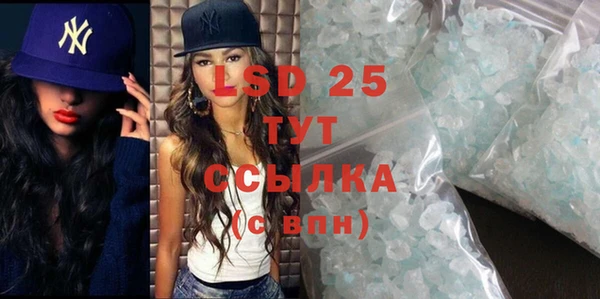 гашик Новозыбков