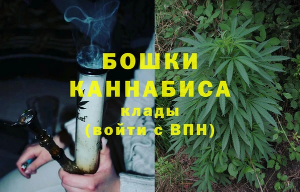 гашик Новозыбков