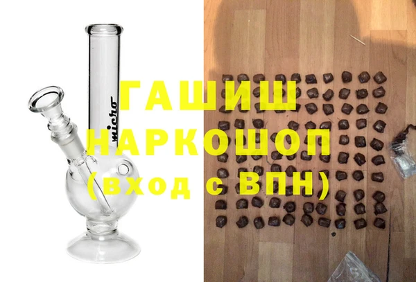 гашик Новозыбков