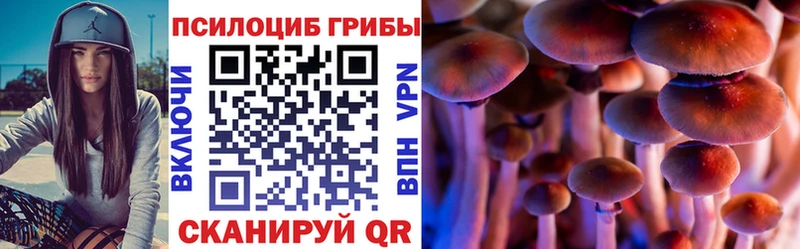 где можно купить   Нижняя Тура  Псилоцибиновые грибы GOLDEN TEACHER 